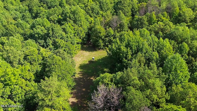175 Poplar Springs Rd, Cascilla, MS 38920