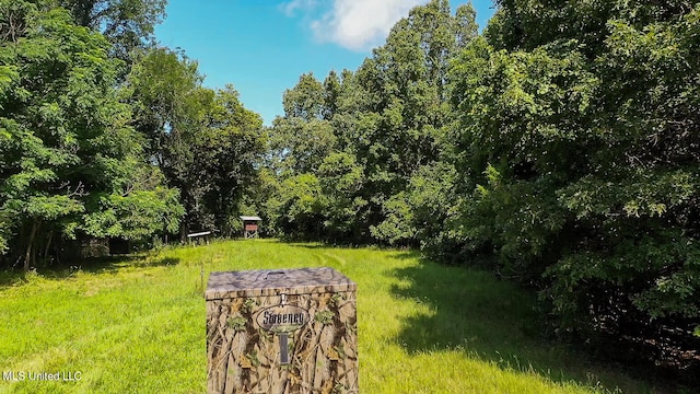 175 Poplar Springs Rd, Cascilla, MS 38920