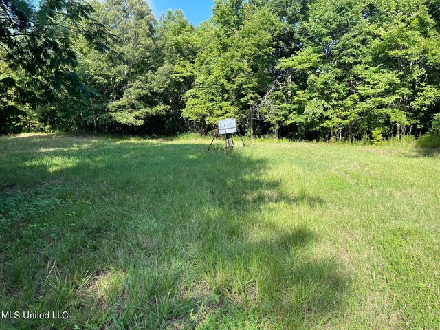 175 Poplar Springs Rd, Cascilla, MS 38920