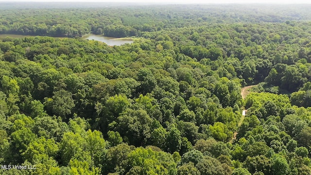 175 Poplar Springs Rd, Cascilla, MS 38920