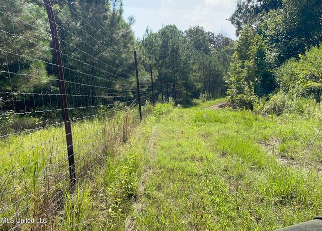175 Poplar Springs Rd, Cascilla, MS 38920