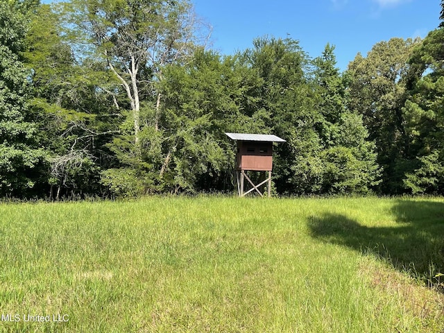 175 Poplar Springs Rd, Cascilla, MS 38920
