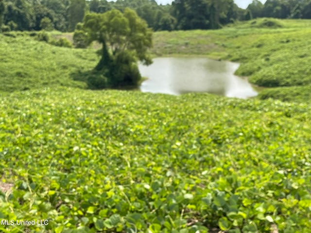 175 Poplar Springs Rd, Cascilla, MS 38920
