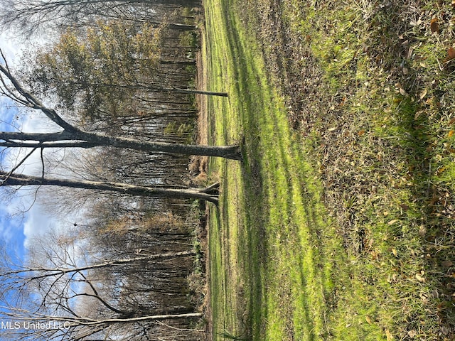 175 Poplar Springs Rd, Cascilla, MS 38920
