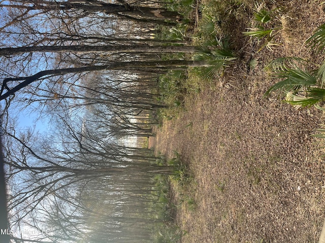 175 Poplar Springs Rd, Cascilla, MS 38920