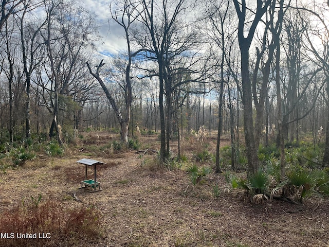175 Poplar Springs Rd, Cascilla, MS 38920