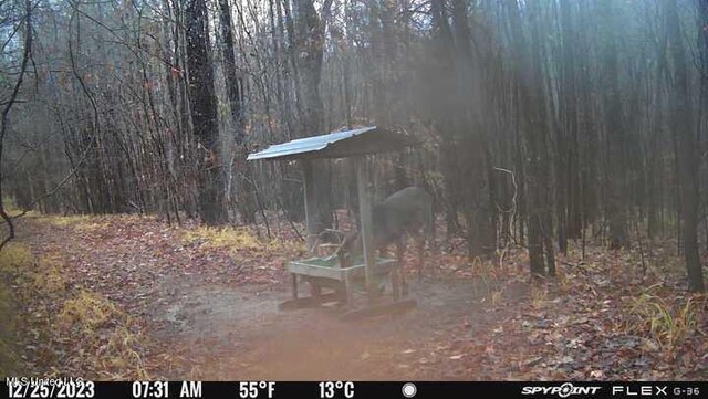 175 Poplar Springs Rd, Cascilla, MS 38920
