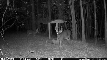 175 Poplar Springs Rd, Cascilla, MS 38920