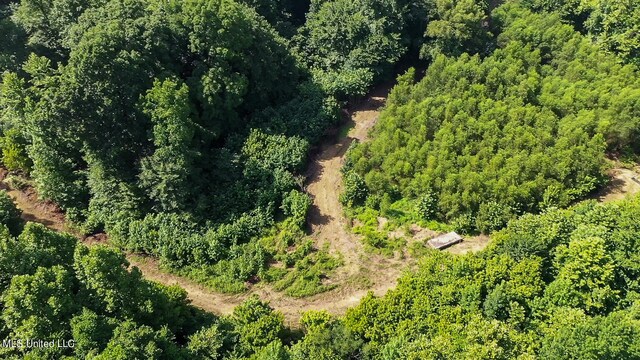 175 Poplar Springs Rd, Cascilla, MS 38920