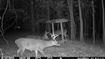 175 Poplar Springs Rd, Cascilla, MS 38920