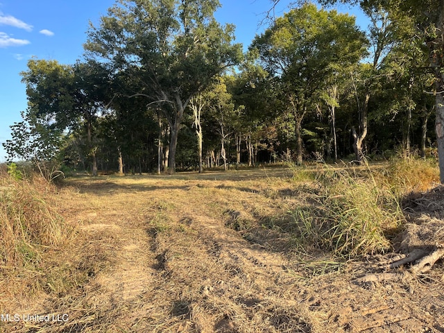 175 Poplar Springs Rd, Cascilla, MS 38920