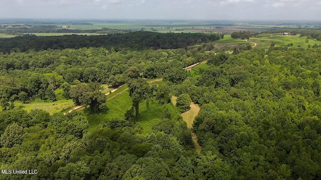 175 Poplar Springs Rd, Cascilla, MS 38920