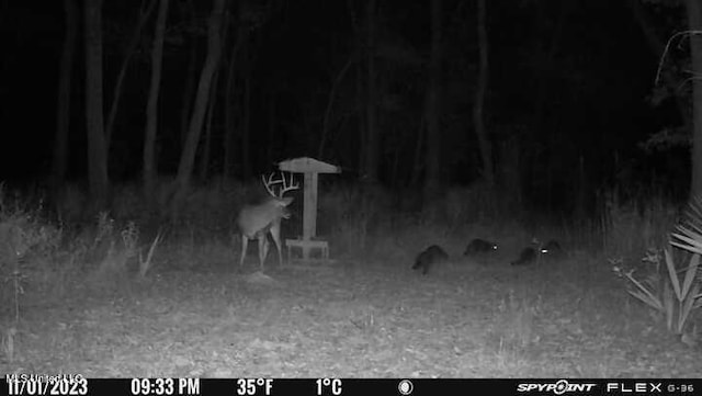 175 Poplar Springs Rd, Cascilla, MS 38920