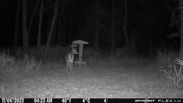 175 Poplar Springs Rd, Cascilla, MS 38920