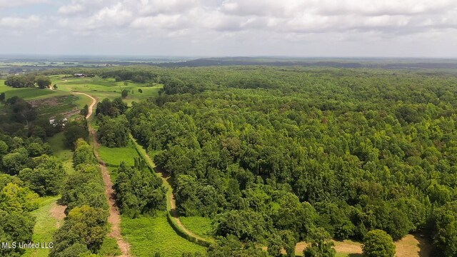 175 Poplar Springs Rd, Cascilla, MS 38920