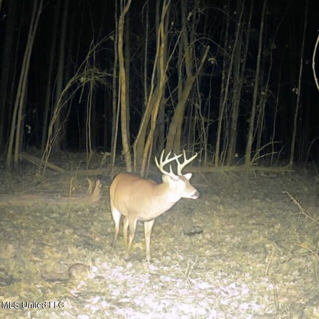 340 Horsepen Rd, Gore Springs, MS 38929