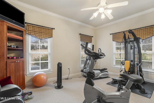 workout area with crown molding, carpet flooring, and ceiling fan