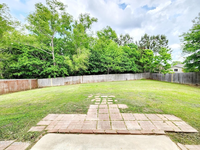view of yard with a patio and a fenced backyard