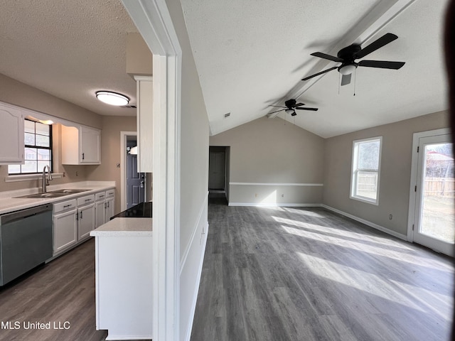 kitchen featuring dark hardwood / wood-style flooring, dishwasher, white cabinets, and sink