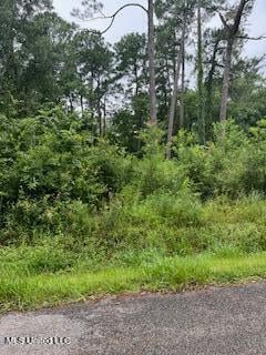 1181 Loraine St, Ocean Springs MS, 39564 land for sale