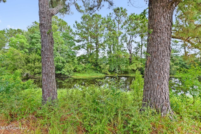 10566 W River Vue, Biloxi, MS 39532 - water view with a heavily wooded area