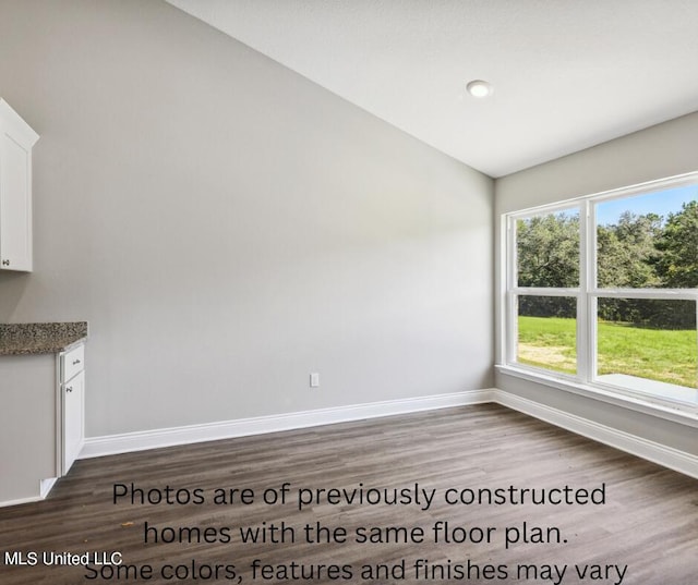 interior space featuring dark hardwood / wood-style flooring and lofted ceiling