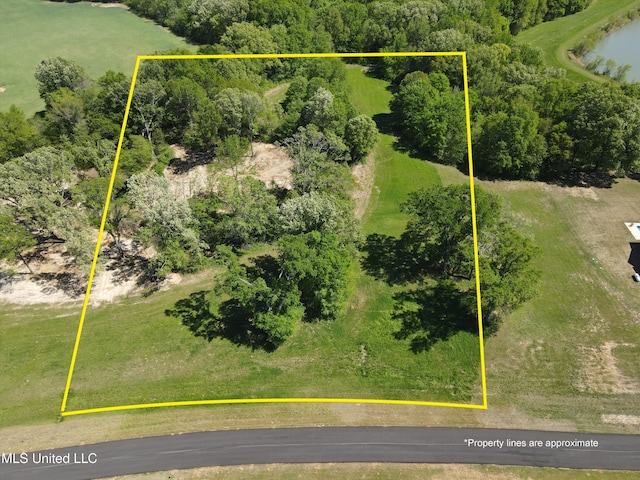11E Como Trace Dr, Senatobia, MS 38668