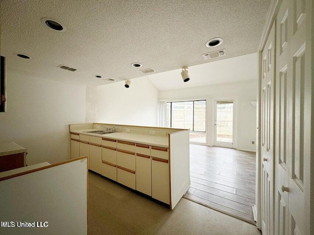 kitchen with sink, a textured ceiling, and light hardwood / wood-style flooring