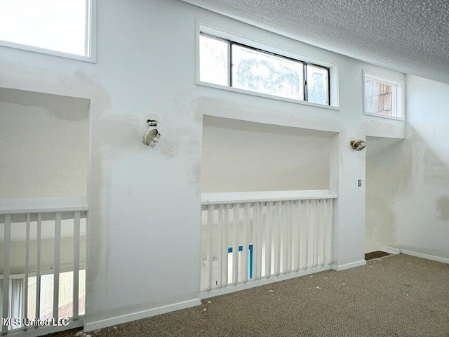 interior space with carpet and a textured ceiling