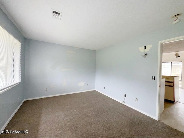 empty room featuring carpet and a wealth of natural light