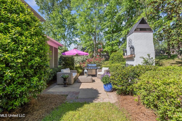 view of yard featuring a patio area
