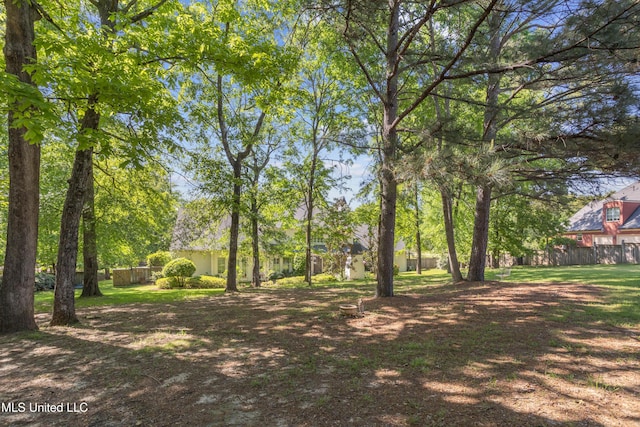 view of yard