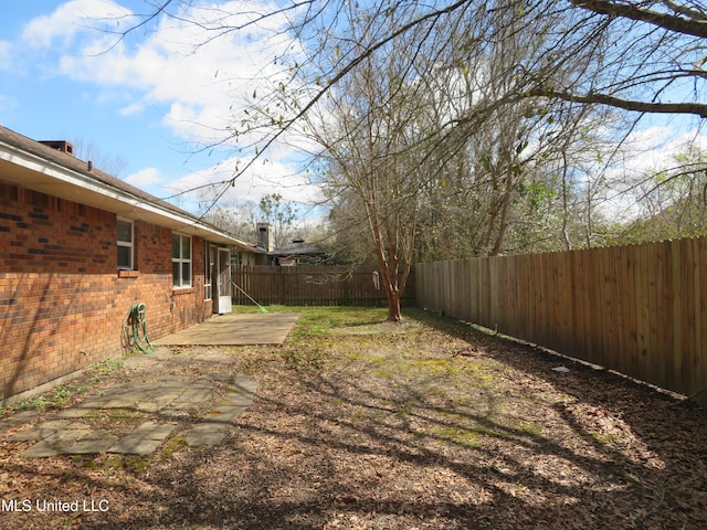 view of yard with a patio and a fenced backyard