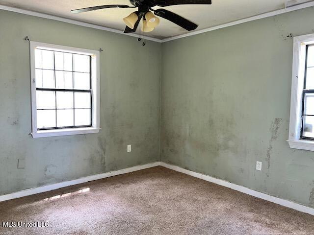 3916 Oakhill Dr, Jackson, MS 39206 - unfurnished room with carpet, ceiling fan, and crown molding