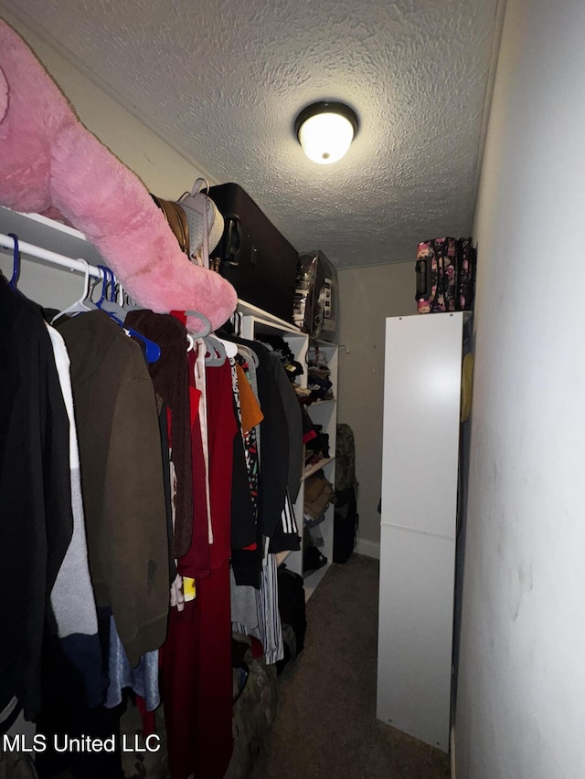 710 Benning Rd, Jackson, MS 39206 - spacious closet featuring carpet flooring