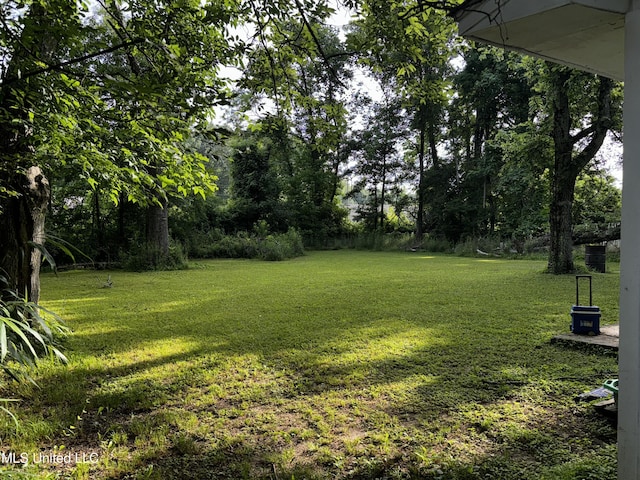 710 Benning Rd, Jackson, MS 39206 - view of green lawn