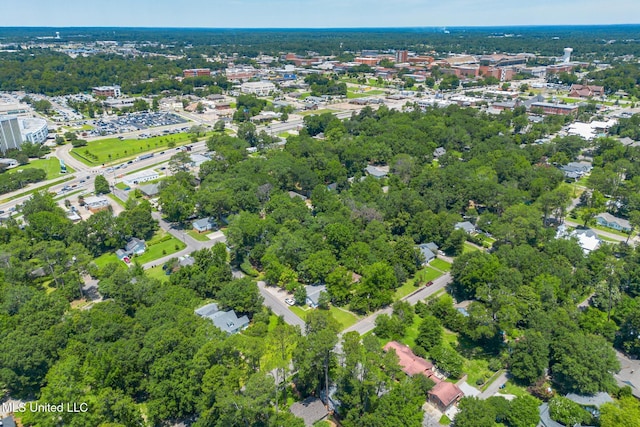 bird's eye view