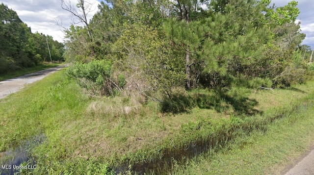 Hoover St, Bay Saint Louis MS, 39520 land for sale