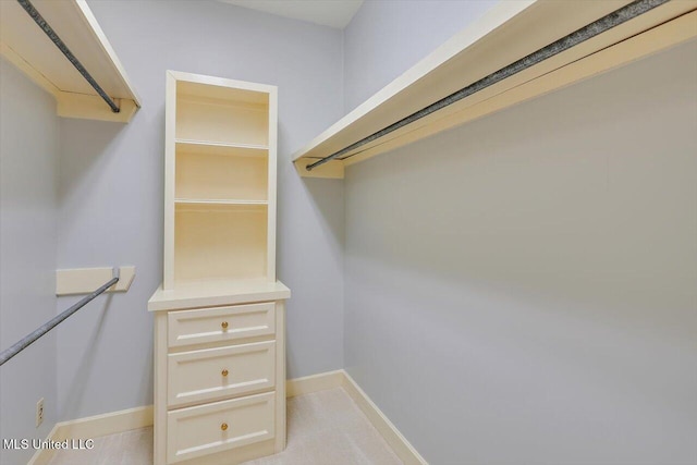 view of spacious closet