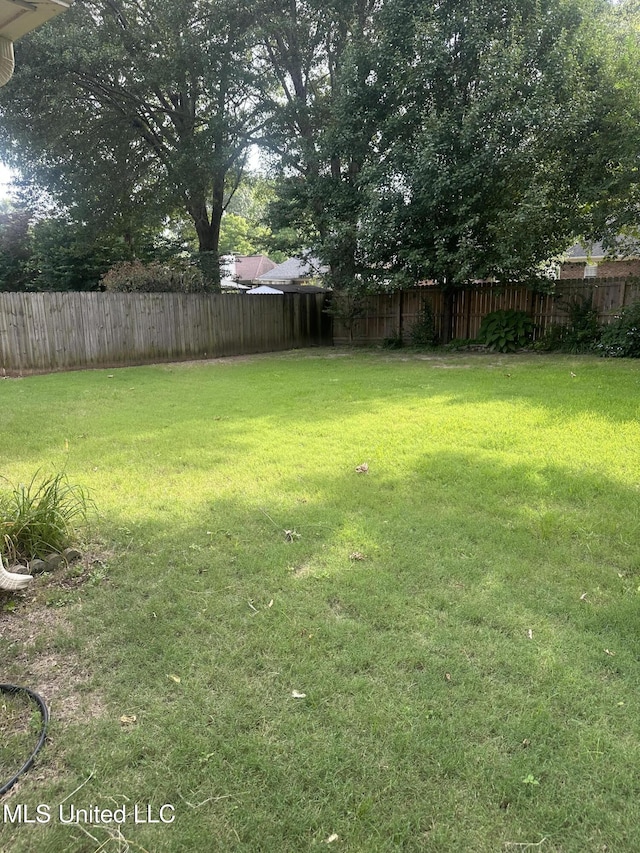 5875 White Ridge Cir W, Olive Branch, MS 38654 - view of yard