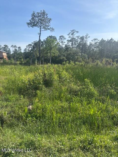 4035 Barracuda St, Bay Saint Louis, MS 39520