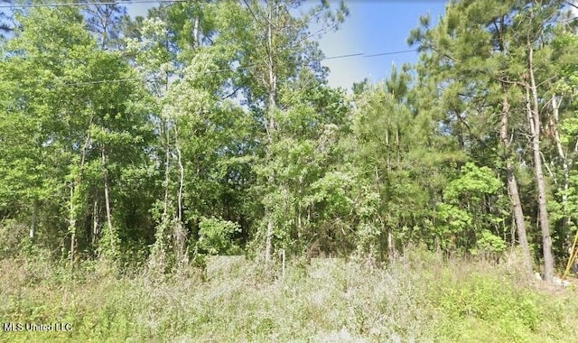 10241 River Dr, Bay Saint Louis MS, 39520 land for sale