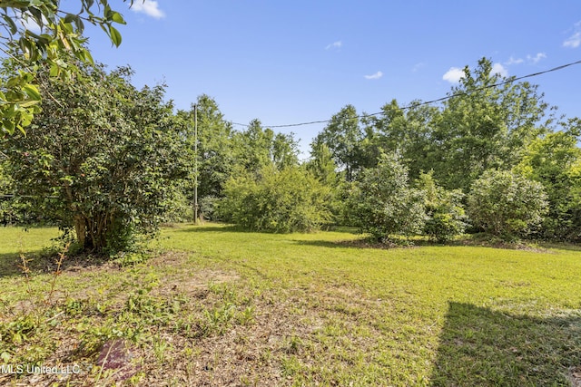 21021 Old River Rd, Vancleave, MS 39565 - view of green lawn