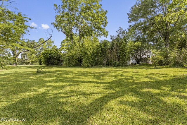 21021 Old River Rd, Vancleave, MS 39565 - view of green lawn