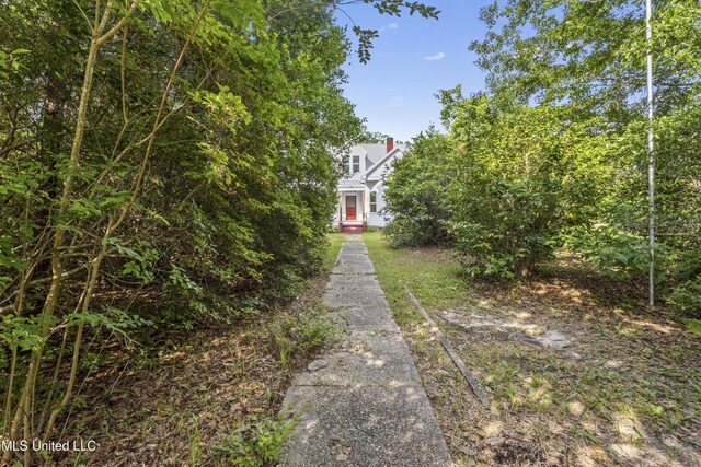 21021 Old River Rd, Vancleave, MS 39565 - view of yard