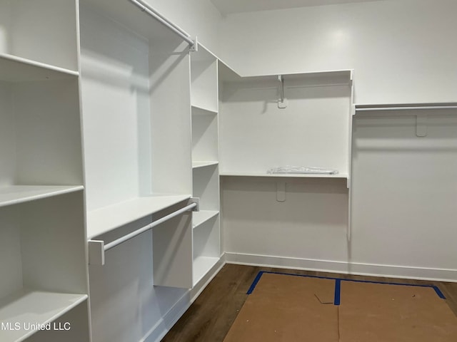 walk in closet with dark wood-style floors