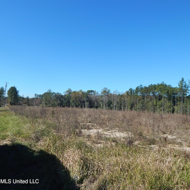 Listing photo 2 for Blackberry Ln, Lucedale MS 39452