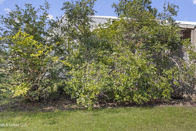 13625 Mount Pleasant Rd, Vancleave, MS 39565 - view of grassy yard