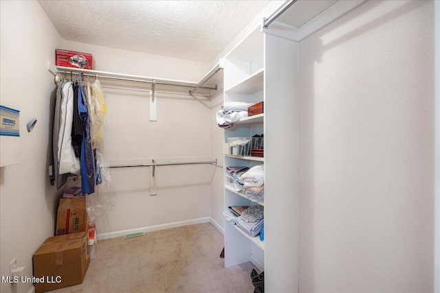 spacious closet featuring carpet