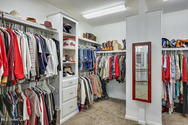 spacious closet featuring light colored carpet